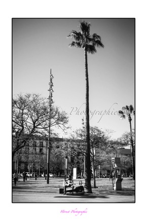 Hörnet-Photographie-barcelona (15 von 49).jpg